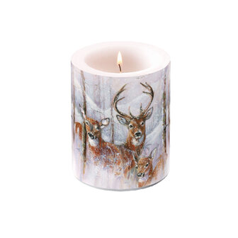 Ambiente Wilderness Stag Stompkaars 75 Branduren 10x12 cm