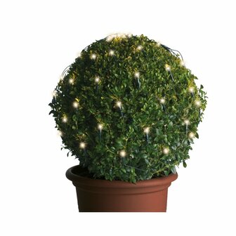 Lumineo LED Netverlichting voor Buxus Groen Warm Wit D50cm IP44