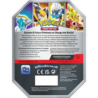 Pok&eacute;mon Iron Boulder EX Tin Assorti