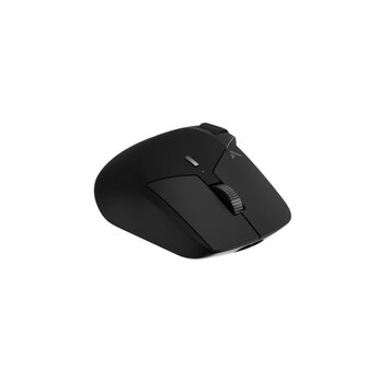 Rapoo VT0PRO Draadloze Gaming Muis Zwart