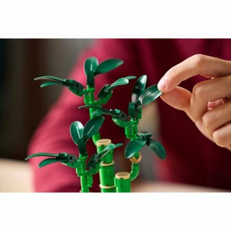 Lego Botanicals 10344 Bamboe