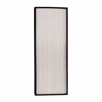 Rowenta XD6077 XL Pure Air Allergie&euml;n Filter