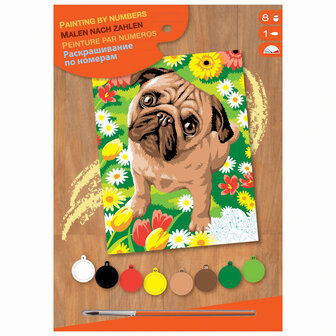 Schilderen Op Nummer Pug Dog