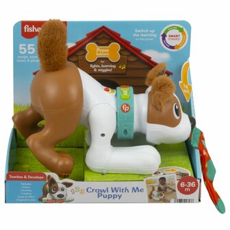 Fisher Price Crawl With Me Puppy + Licht en Geluid