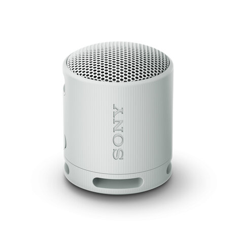 Sony SRSXB100H Draagbare Bluetooth Speaker Grijs