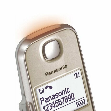 Panasonic KX-TGE210NLN DECT Telefoon Grijs/Wit