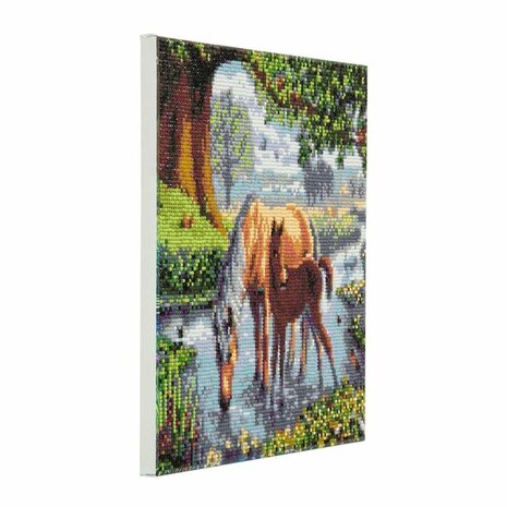 Craft Buddy Crystal Art Diamond Painting Paarden