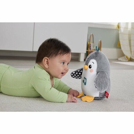 Fisher Price Flap and Wobble Pinguïn + Geluid