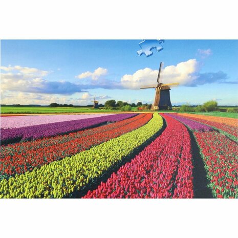 Ravensburger Puzzel Hollandse Windmolen 1000 Stukjes